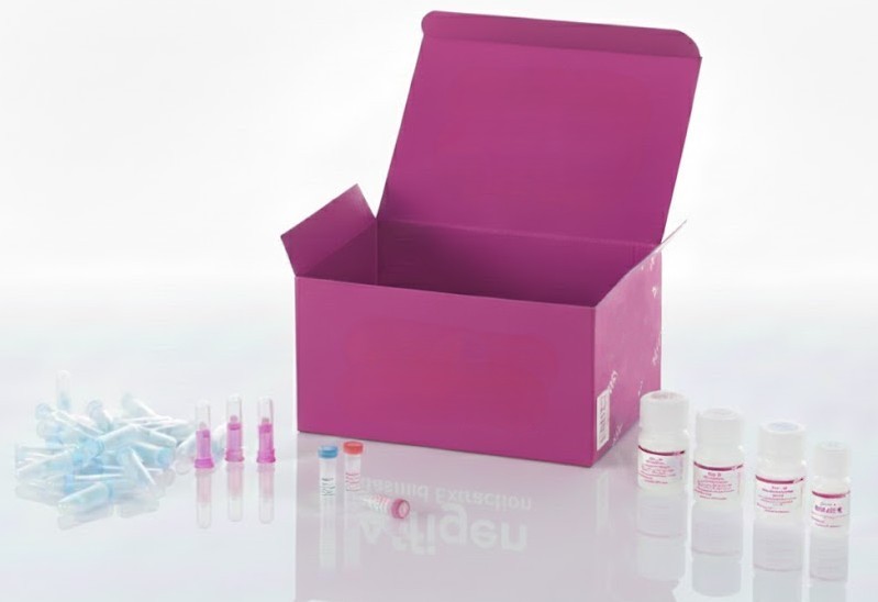 [0131-BR1401a] La matriz de tejido del cáncer de mama, incluyendo TNM/estadio (8ª edición AJCC) y grado de patología, los resultados de marcadores IHC (ER, PR y Her-2), 140 casos/140 núcleos (tamaño del núcleo 1,0 mm), reemplazan a BR1401